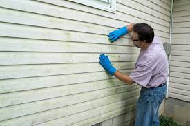 Affordable Siding Repair and Maintenance Services in Centreville, MI